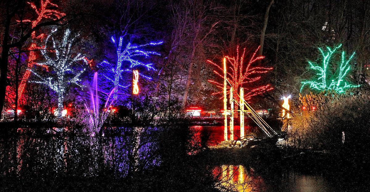 5 Festival of Lights Drive by.jpg