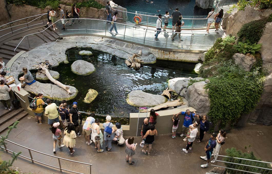 montreal-zoo-biodome.jpg