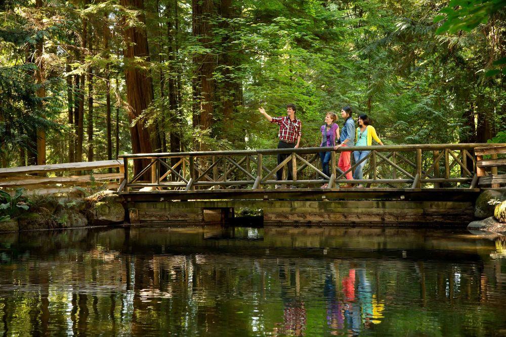 Tours in Vancouver
