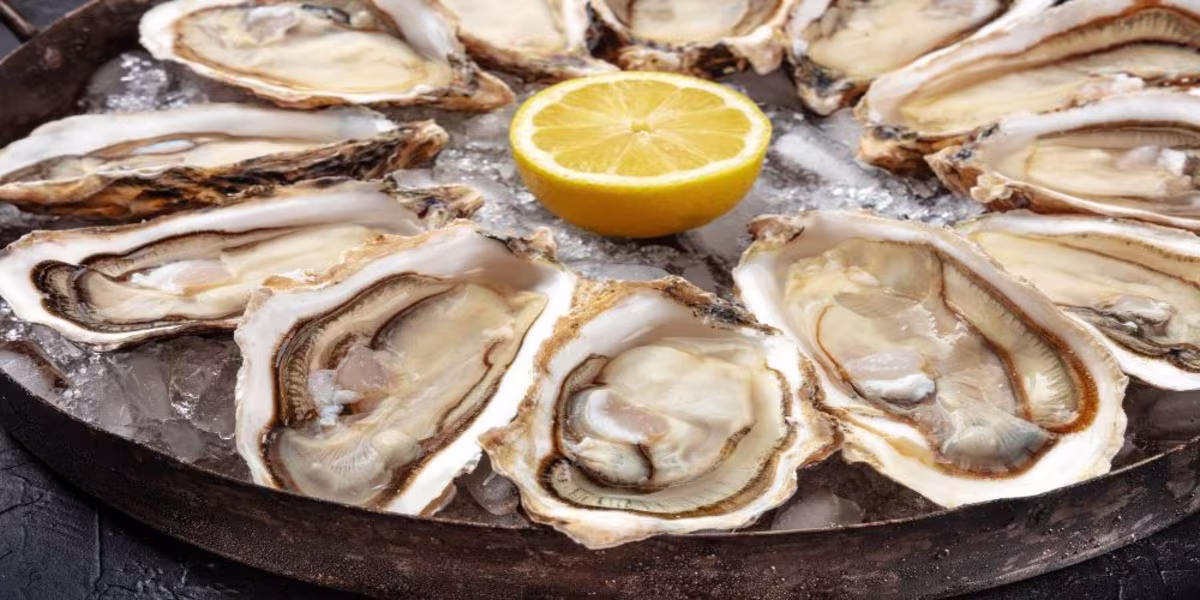 Oysters at Lunenburg Walking Tour.jpg.jpg