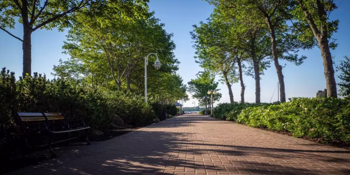 Visit Confederation Landing Parkwith walking tours.jpg