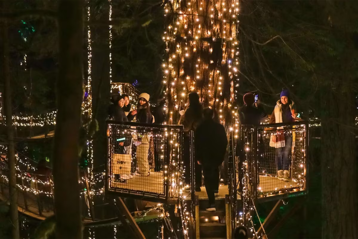 Capilano Suspension Bridge with Canyon Lights Tour image 1
