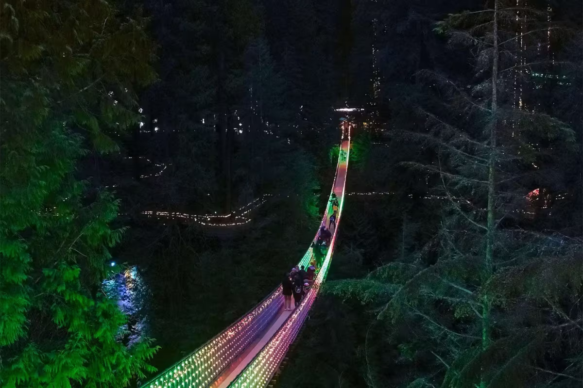 Capilano Suspension Bridge with Canyon Lights Tour image 2