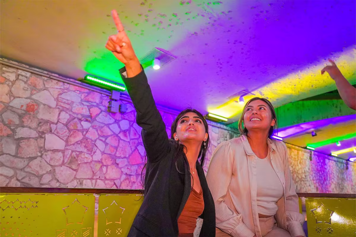 Scenic San Antonio Night Tour with Dinner, Cruise and Tower of Americas image 5