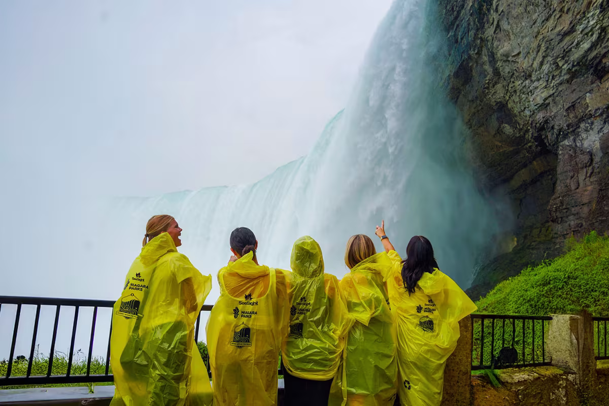 From USA - Day and Night Combo Tour of Niagara Falls, Canada image 1